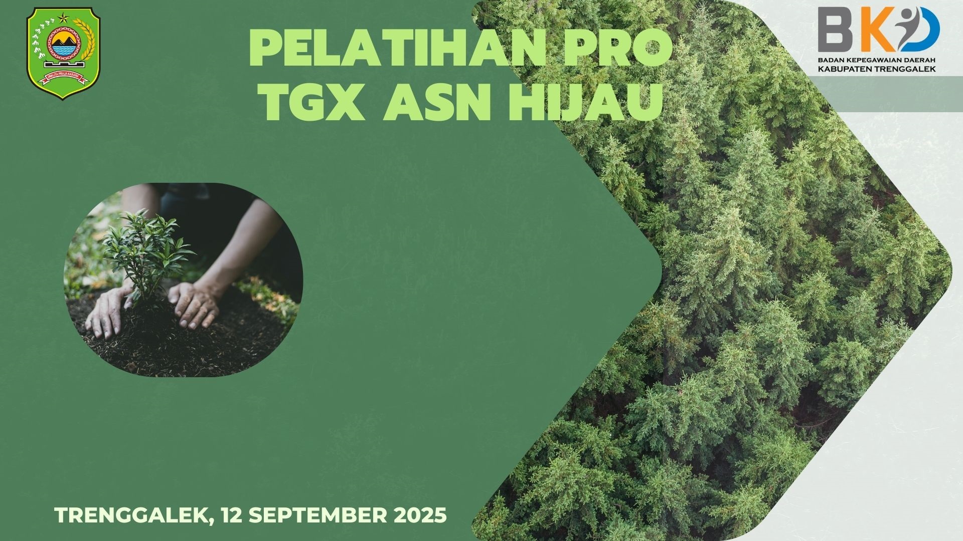WEBINAR NET ZERO CARBON   BAGAIMANA TRENGGALEK KE DEPAN DAN APA PERAN ASN 